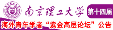 我操了美女南京理工大学第十四届海外青年学者紫金论坛诚邀海内外英才！